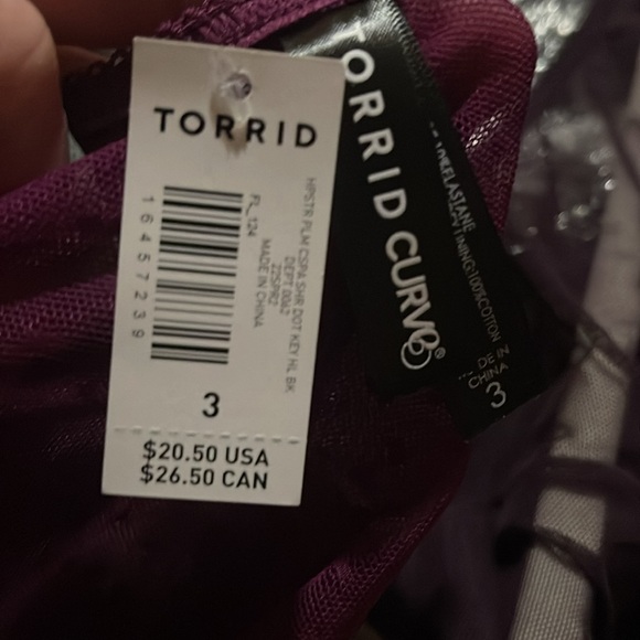 TORRID size 3X NWTS hipster lace sheer panties w/ keyhole back - Picture 6 of 6